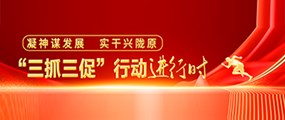 “三抓三促”行动进行时