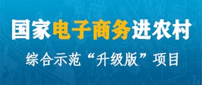 电商进农村