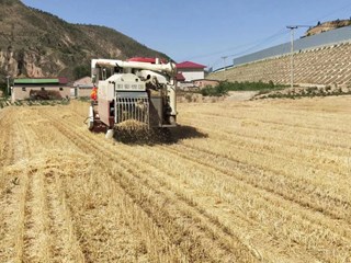 环县2023年”三夏“小麦机收全面拉开帷幕