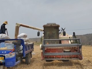 环县农机中心组织开展2023年小麦机收减损技能大比武活动