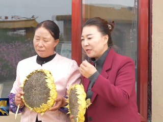 《环县新闻》2025年11月11日