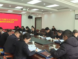 环县第十九届人民代表大会第五次会议举行分团讨论