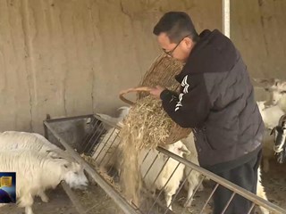 尚屯良：告别打工漂泊拥抱家乡热土