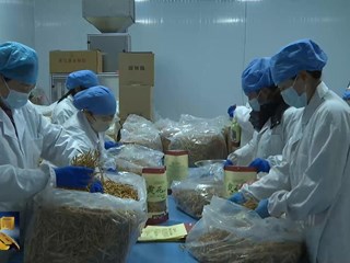 《环县新闻》2026年02月20日 